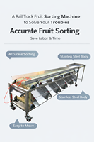 Fabriekslevering XINCHUAN XC-serie Multifunctionele Automatische Fruit- en Groentesorteermachine voor gebruik op de boerderij