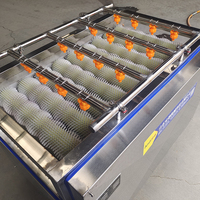 Multifunctionele Groente Suikerriet Parallel Roller Reinigingsmachine Hogedrukspuit Fruit Wasmachine