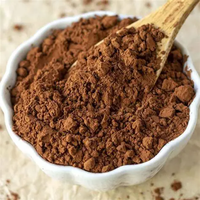 Cacao en Polvo Orgánico - Sin Gluten, Sin OMG, Vegano, Agente Saborizante 1kg