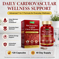 Complément alimentaire Lenm Private Label à base de levure de riz rouge et de coenzyme Q10 avec citron bergamote pour soutenir la santé cardiovasculaire et la protection antioxydante