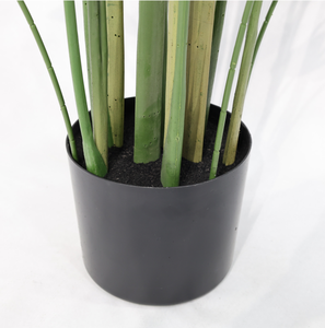 Pianta Artificiale Calathea <span class=keywords><strong>Majestica</strong></span> White Star Staccabile Realistica per Decorazione Interna di Casa, Ufficio e Hotel - Product Image 4