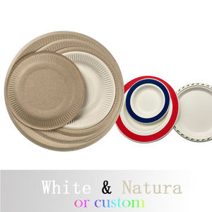 Plateau carré compostable en bagasse de 10 pouces, jetable, écologique, personnalisable avec logo couleur, avec couvercle en PET, à emporter - Product Image 6