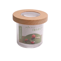 Boîte à insectes en bois avec lentille PMMA, loupe pour enfants, outil d'exploration scientifique et naturelle, pour les enfants de 2 à 13 ans