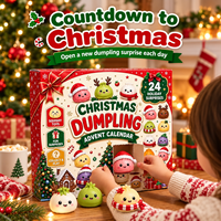 Calendrier de l'Avent Mystère 24 Jours – Boîte Surprise de Noël Remplie – Grande Variété de Cadeaux Anti-Stress à Presser