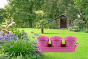 BX Garden Petite jardinière en métal en <span class=keywords><strong>acier</strong></span> <span class=keywords><strong>galvanisé</strong></span> Pot de fleur de bureau décoratif avec plateau pour affichage d'herbes et de fleurs - Product Image 4