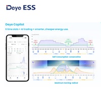Deye ESS WS-L4300 2025 nouveautés 314Ah énergie solaire de secours stockage d'énergie batterie à cycle profond lithium
