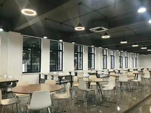 Project Contract <span class=keywords><strong>Furniture</strong></span> Match Diseño danés Sillas de comedor de trineo modernas - Product Image 6