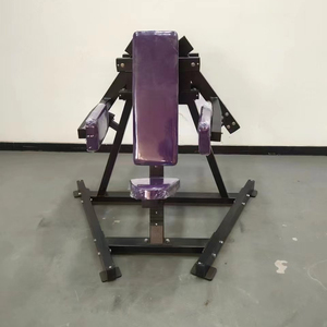 CE Certificate Gym Commercial Home <b>Strength</b> <b>Training</b> Sports Machines Lateral Raise Fitness Equipment - Product Image 1