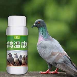 風邪と呼吸器の問題を伴うハトのための鳥の健康栄養パワー医薬品のための有用なサプリメント - Product Image 1