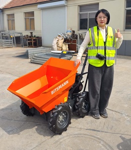Bitsmann 6.5HP Mini Dumper 300kg Công suất xăng xe cút kít <span class=keywords><strong>loader</strong></span> với liyuan xi lanh thủy lực động cơ 1-năm bảo hành - Product Image 3