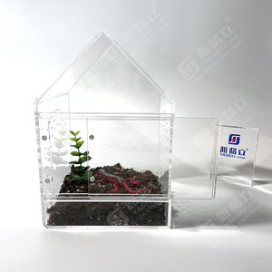 Enclos transparent pour tarantule, enclos pour reptiles, terrarium pour araignées, cage pour tarantule, uniquement pour l'exposition - Product Image 5