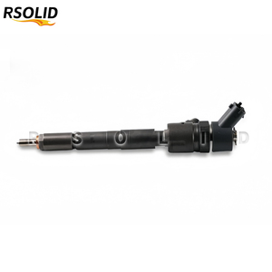 หัวฉีดคอมมอนเรลแรงดันสูง Rsoliddiesel 0445110310 0 445 110 310 0305BAM00280N 0305BM0071N 0986435296 F00ZC99559 - Product Image 6