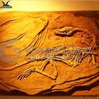Haichuan accessoires de décoration murale de fossiles de dinosaures en fibre de verre grandeur nature personnalisés pour l'exposition de musée réplique de squelette de dinosaure