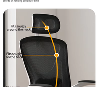 Chaise de bureau exécutive moderne à cadre blanc en maille, réglage lombaire, design ergonomique, accoudoirs réglables, fonction pivotante, pour bureau à domicile