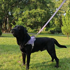 犬用アウトドアウォーキング犬用ハーネスポーチホルダー付きソフトハーネスセット - Product Image 2