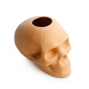 Vaso per Fiori in Terracotta a Forma di <span class=keywords><strong>Testa</strong></span>, per Piante Grasse e Cactus, Design Moderno ed Ecologico per Arte da Giardino - Product Image 1
