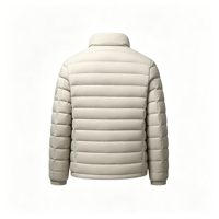 Veste d'hiver matelassée pour homme, grande taille, à capuche, légère, imperméable, coupe-vent, isolée en duvet d'oie, fabricant OEM, logo personnalisé