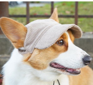 Gorro de Pana para Perro, Protección UV, con Orificios para las Orejas, Lindo Gorro de Béisbol para Corgi y Perros Pequeños - Product Image 5