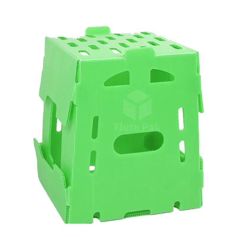 아스파라거스 옥수수 브로콜리 야채 포장 골판지 플라스틱 상자