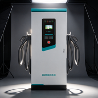 Chargeur DC pour véhicules électriques 60kW-160kW à double connecteur, station de charge rapide avec écran LCD, arrêt d'urgence, IP54, pour utilisation en garage public
