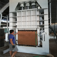 Machine à extraction automatique en fibres de coco, v, pour enlever la fibre de coco, modèles petites à grandes tailles