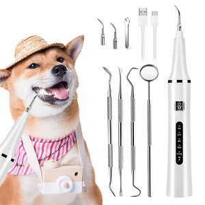 Nettoyeur <span class=keywords><strong>dentaire</strong></span> ultrasonique rechargeable en acier inoxydable pour animaux de compagnie, portable, blanchissant, détartreur <span class=keywords><strong>dentaire</strong></span> pour chiens et chats - Product Image 1