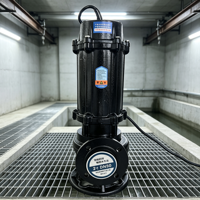 WQ Tauchpumpe für Abwasser, landwirtschaftliche Bewässerungspumpe, Kommunalabwasserpumpe, Kreiselpumpe, Vakuumpumpe 5PS 10PS