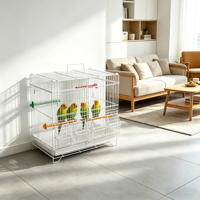 Cage à oiseaux en fer de taille moyenne en gros avec plateau en plastique multi-compartiments pour l'élevage et le vol des canaris et des agapornis