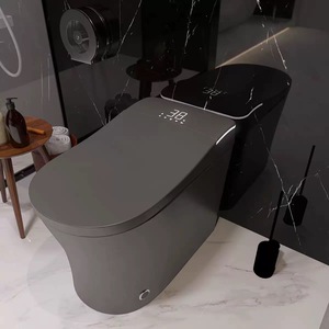 Chất Lượng Cao Màu Xám Không Thấm Nước 3D Spa Rửa Tráng Men Gốm Thiết Bị Vệ Sinh Một Mảnh WC Nhà Vệ Sinh Thông Minh Nhà Vệ Sinh Cho Người Cao Tuổi - Product Image 6