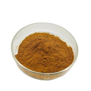 Cápsulas de extracto de hongo Reishi rojo Polisacáridos Extracto de Ganoderma Lucidum Extracto de hongo Reishi rojo - Product Image 3