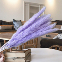 WAFA HOME Dekorasi Fotografi Rumah Alami Rangkaian Bunga Kering Rumput Pampas Wisuda Halloween Natal Imlek