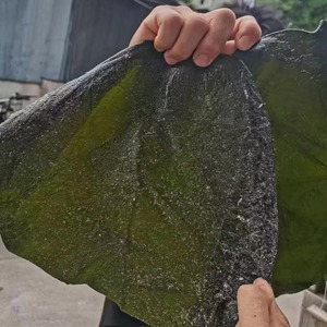 Feuilles de varech <span class=keywords><strong>Nori</strong></span> séchées hachées extra-épaisses sans sable Xiapu Woody, emballage sac de 250g - Product Image 6
