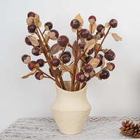 Grensoverschrijdende gedroogde Luo Han Guo takken, vruchten, harsambachten, gedroogde bloemen, huisdecoratie, bloemkunst, fotografie-accessoires, Scandinavisch