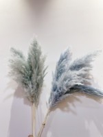 Bunga pernikahan Centrepiece terinspirasi gaya Ins prumpung Komunis alami Reed kecil Pampas Naturel berbulu Hari Ibu kering