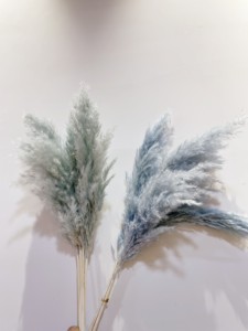 Centro de mesa de flores de boda inspirado en el estilo Ins Phragmites Communis Natural Small Reed Pampas Naturel Fluffy Dry Día de <span class=keywords><strong>la</strong></span> madre - Product Image 4