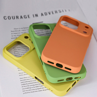 Coque de téléphone portable en silicone liquide TPU, vente en gros directe usine, avec protection de cadre à grande ouverture pour iPhone 18 17 16 Pro Max