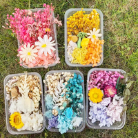 Boîte de matériaux pour fleurs éternelles DIY, décorations artisanales, couleurs mélangées aléatoires, plantes séchées et fleurs séchées