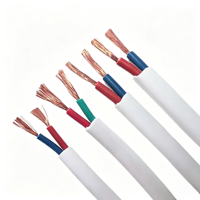 RVVB-2*1.5/2.5 mm Kupferkern-Ummantelkabel für den Einsatz in Automobilbeleuchtung, LED-Streifen und Kleinelektronik