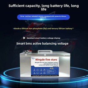 Baterai LiFePO4 48V 20Ah untuk Skuter Listrik, Go-kart, dan Kereta Pantai - Product Image 3