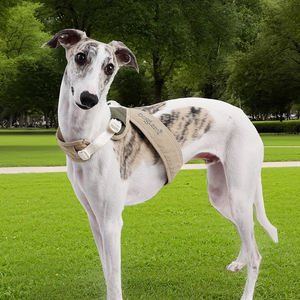 Tali kekang anjing tugas berat X Mesh, tali nilon dapat disesuaikan dengan gesper modis nyaman ukuran XS untuk berjalan mudah - Product Image 5