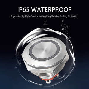 GQ19BF-10E/जे कारखाने की कीमत 19 मिमी धातु पुश बटन स्विच लोगो ip65 वाटरप्रूफ 12 वी 24 वी क्षणिक रोशनी वाली स्विच कार शुरू - Product Image 4