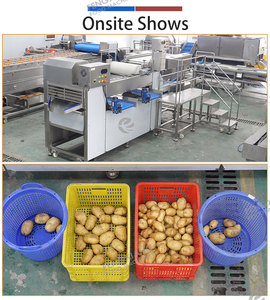 Fengxiang Dual Sorter 500-2000kg/h Vegetable Fruit Sorting Grading Machine Custom Roller Sorting Machine for Food Plant - Product Image 3