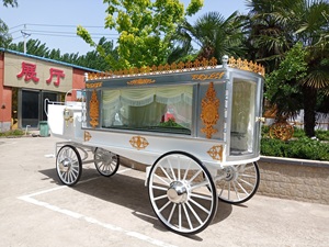 Carro funerario blanco antiguo tirado por caballos blancos Transporte especial de estilo americano para ataúd - Product Image 6