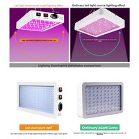 Lampe LED à spectre complet étanche IP65 transfrontalière pour la croissance des plantes en serre et des plantes en pot (phase végétative)
