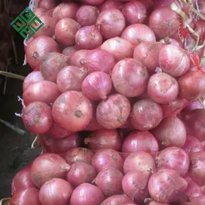 Onion Freshly Harvested Onions White And Red Onion