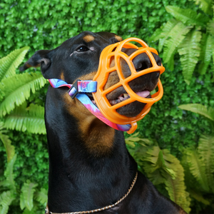 Mõm Đầy Màu Sắc Cho Chó Giỏ Mõm Chó Bằng Silicon Thiết Bị Chống Cắn Nhai Sủa - Product Image 6