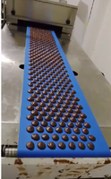 Nouvelle conception de machine à fabriquer des pépites de chocolat de 1g avec tunnel de refroidissement, machine de transformation du chocolat