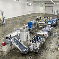 Ligne de production industrielle de frites et chips de pommes de terre entièrement automatique pour pommes de terre fraîches, fruits, légumes, maïs et farine