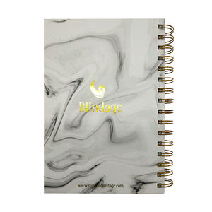 Popular Gold Spiral Foil Logo Eco-friendly Customizable PP/Paper Hardcover Planner <b>Line</b> Page Writing <b>Notebook</b> for Student - Product Image 2