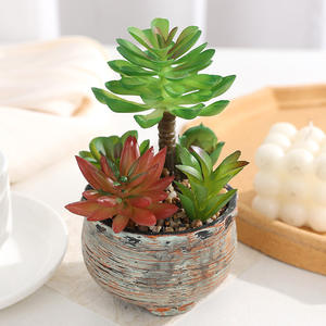 Planta Verde Suculenta em Vaso Pequeno de Alta Qualidade para Decoração de Mesa com Flor Artificial de Cacto Pronta para Escritório - Product Image 5